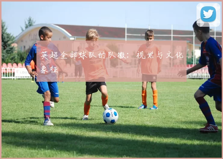 英超全部球队的队徽：视觉与文化象征