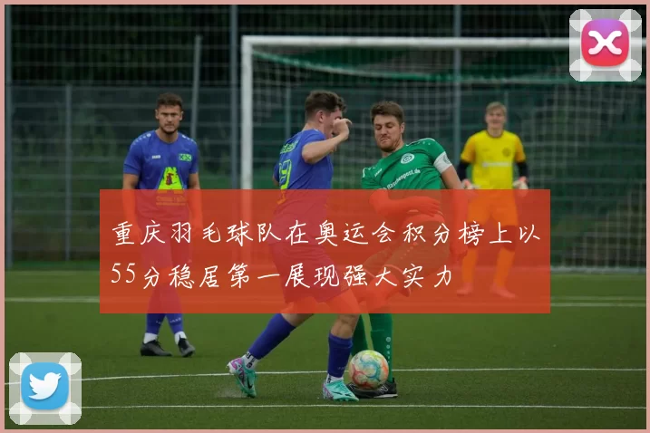 重庆羽毛球队在奥运会积分榜上以55分稳居第一展现强大实力