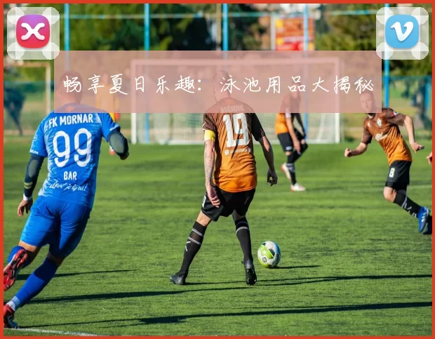 畅享夏日乐趣：泳池用品大揭秘