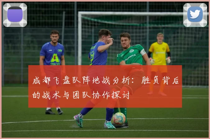 成都飞盘队阵地战分析：胜负背后的战术与团队协作探讨