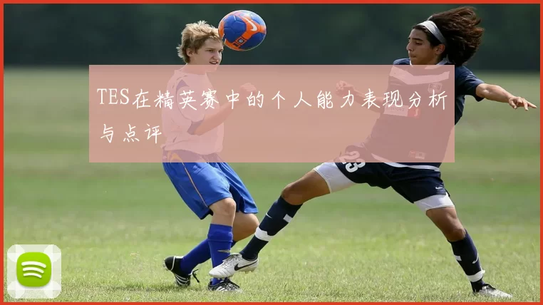 TES在精英赛中的个人能力表现分析与点评