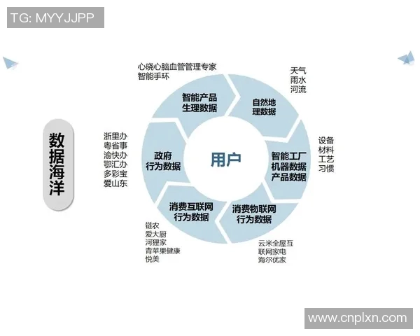 以交易为核心构建数字经济新生态推动全球市场融合与创新发展
