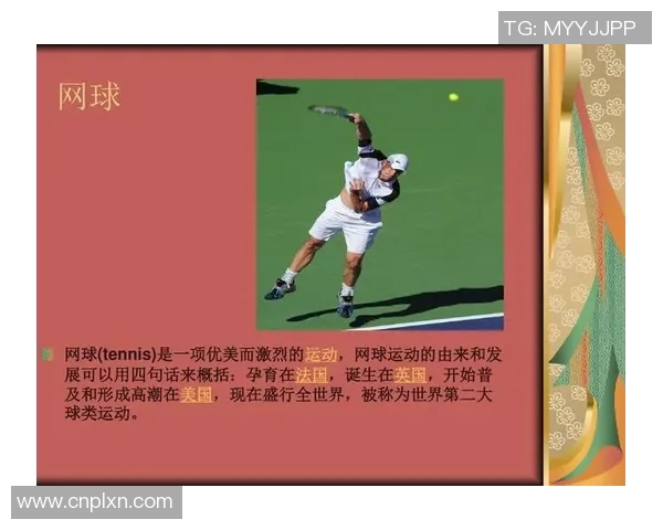 球类运动的魅力与发展：探索不同球类的历史、技巧与未来趋势